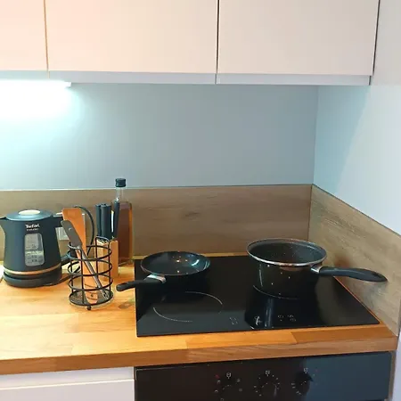 Lejlighed 54m2 Lumineux Avec Terrasse Au Coeur Des Minimes Metro